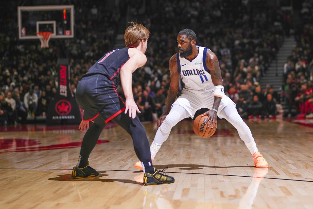 新哈兰德 新哈兰德